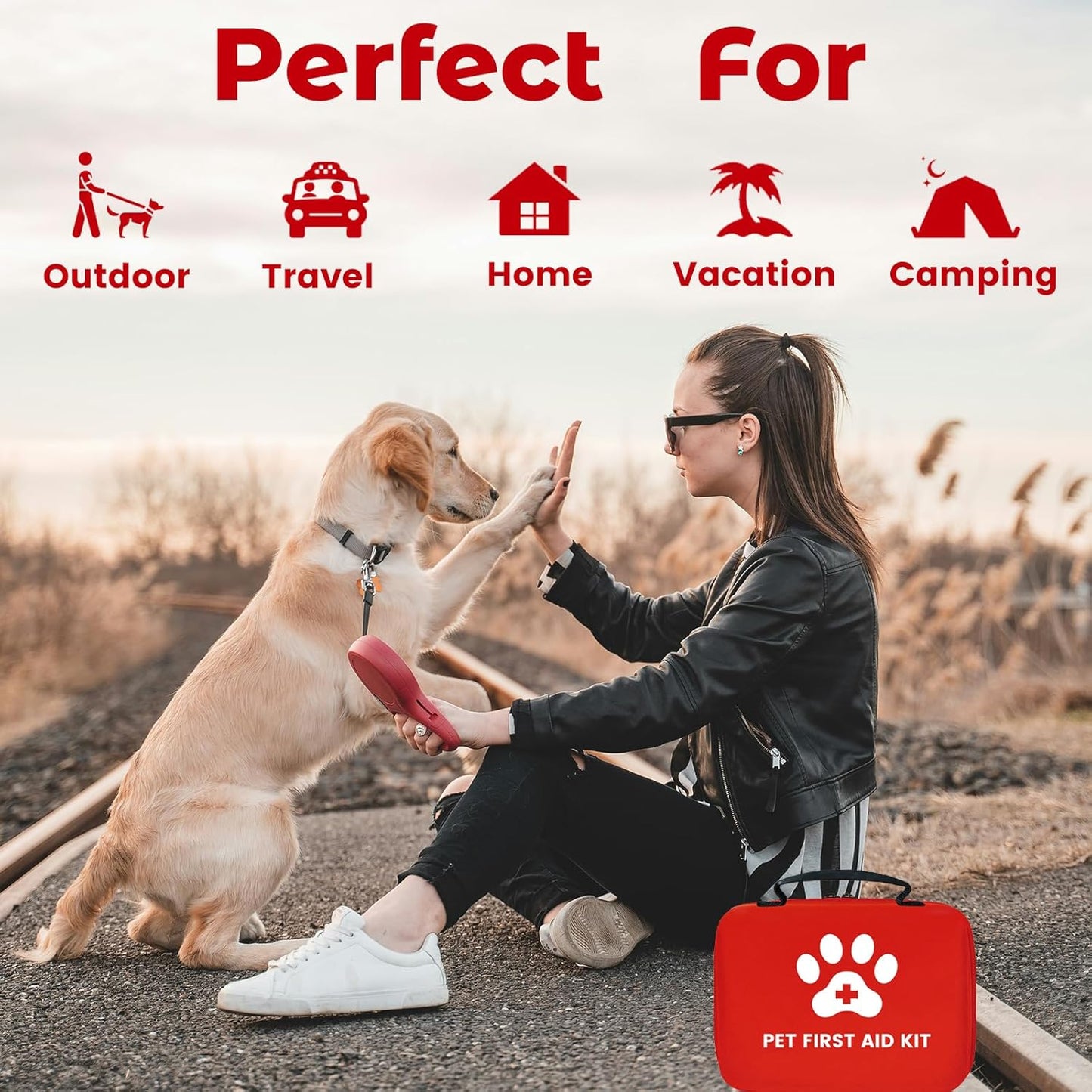 Pet First Aid Kit